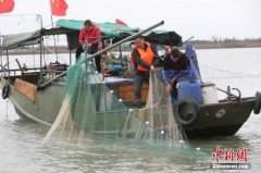 农业农村部：力争2020年底全国海洋禁用渔具基本