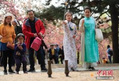 2019清明假期接待游客1.12亿人次 旅游收入478.9亿元