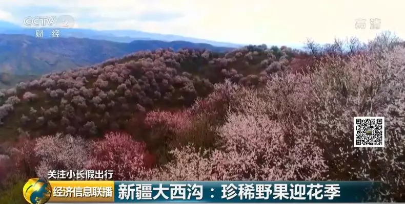 清明节3天，这个“网红城市”揽金破百亿！