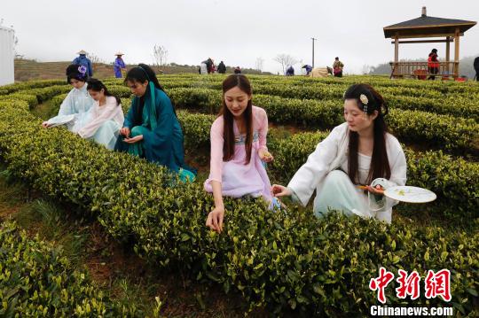 现场的“采茶仙子”。 海潮 摄