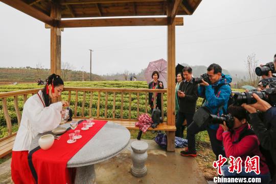 茶艺师张楠在现场表演。 海潮 摄