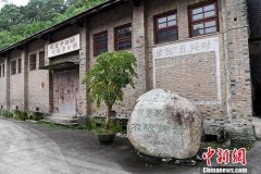 广西“侨销茶”六堡茶焕发新生机 品牌价值突破