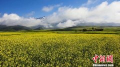 青海打造全域绿色有机农畜产品示范省