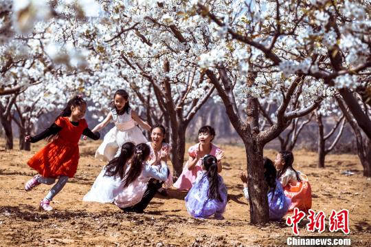 邀八方宾客畅游花海，共享人间最美四月天。　亚明 摄