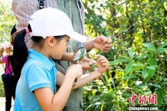 <b>中国全国性自然教育平台成立 推动自然保护事业</b>