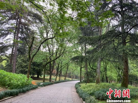 杭州植物园。　张斌 摄