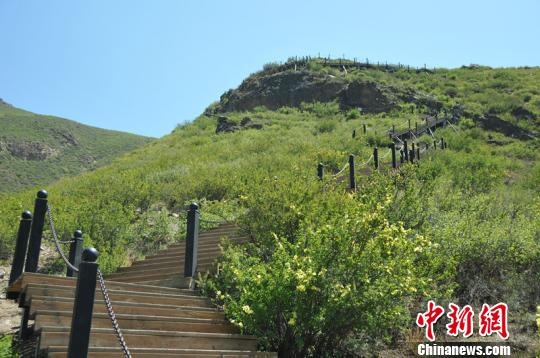 图为大青山国家登山健身步道一景。　乌娅娜 摄
