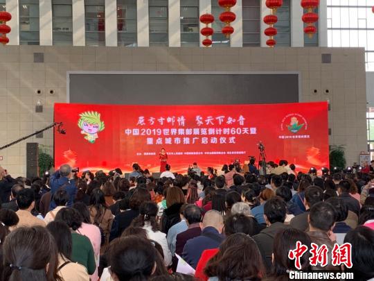 图为中国2019世界集邮展览倒计时60天活动现场 武一力 摄