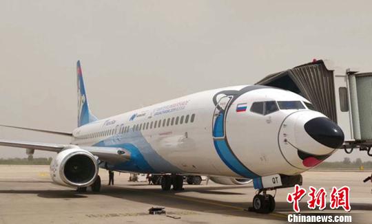 俄罗斯北方之星航空公司给飞机换上哈士奇涂装。　山西宝华国旅供图 摄
