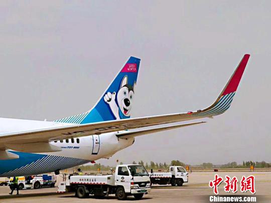 这架客机被喷上了哈士奇涂装。　山西宝华国旅供图 摄