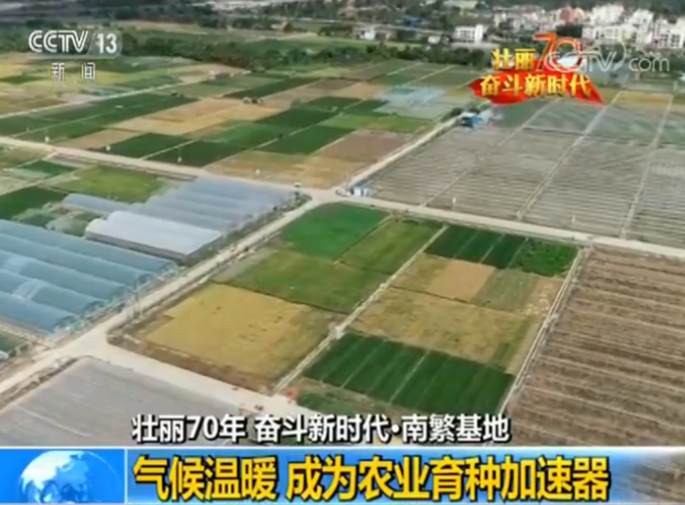 南繁基地：建设中国种业硅谷