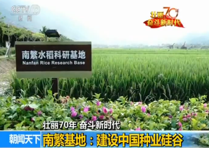 南繁基地：建设中国种业硅谷