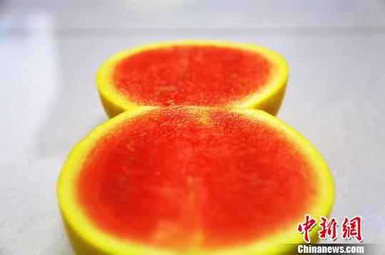 令人垂涎欲滴的牛奶西瓜。　李靖海 摄