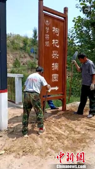 王进何还成立了枸杞农民专业合作社，采取“合作社+农户”的方式。　刘志强 摄