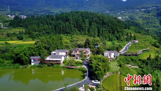 旅游资源得天独厚的张家界成为民宿发展的热土。主办方供图