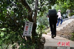 古茶树保护与可持续利用国家创新联盟在昆明成立