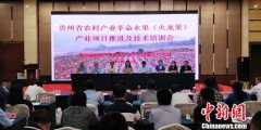 贵州：火龙果让上万人跨出贫困行列