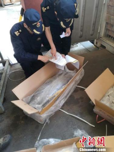 马尾海关4月连续拦下2批不合格水产品入关。福州海关供图