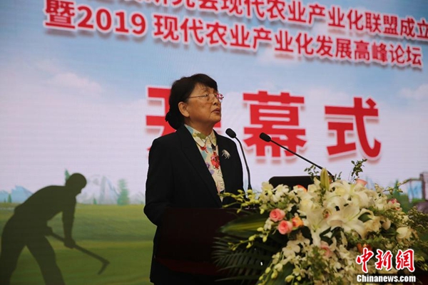 第十一届全国政协副主席张梅颖发言(主办方供图)