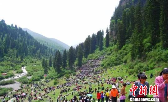 图为甘肃临夏州和政松鸣岩景区。　甘肃省文化和旅游厅供图 摄