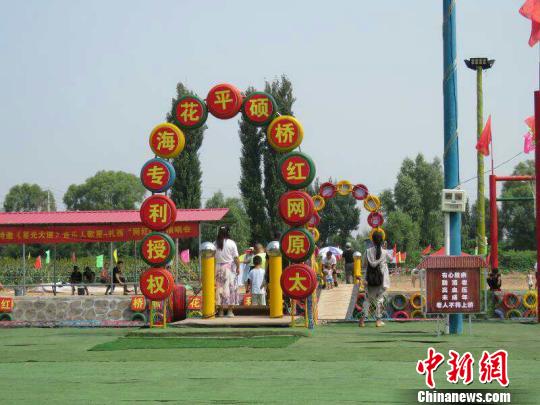 王吴村还将向日葵、矢车菊、波斯菊等引入田园综合小镇，增加小镇的景观。受访者供图