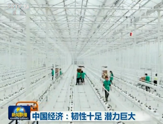 中国经济：韧性十足 潜力巨大