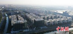 上海浦东张江发布细胞产业园区规划