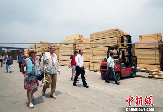 俄罗斯媒体代表在青白江国际木材交易中心参观。　王磊 摄