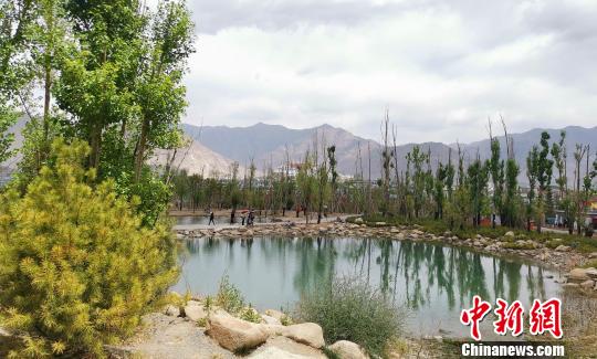 图为拉萨河南岸的南山公园。　赵延 摄