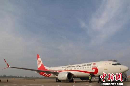 图为福州航空运营的波音737MAX飞机。　龙敏 摄