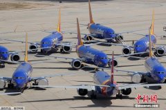 国内13家航空公司向波音索赔 中国航协:预计40亿元 国内13家航空公司向波音索赔 中国航协:预计40亿元