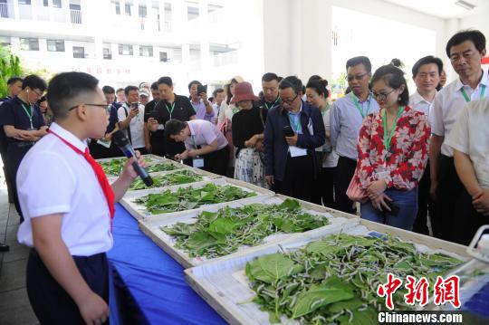 宜都市积极推动形成绿色发展方式和生活方式 刘康 摄