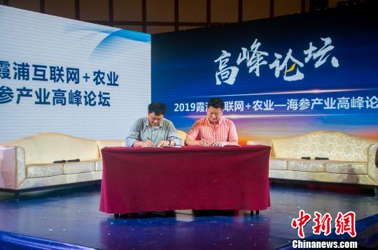 图为签约仪式。 叶茂 摄 图为签约仪式。 叶茂 摄