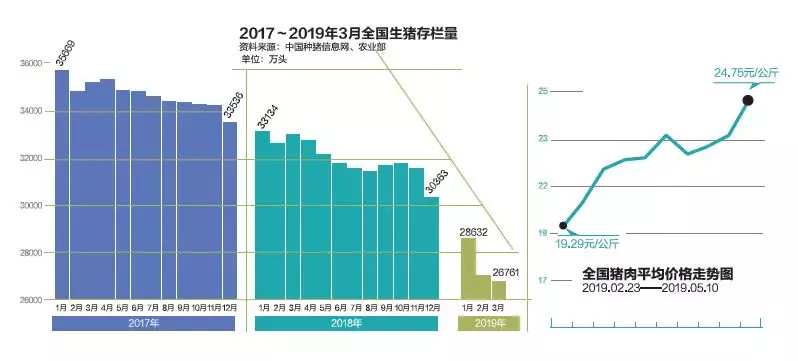 非洲猪瘟肆虐百万头生猪被杀：猪若安好，便是晴天
