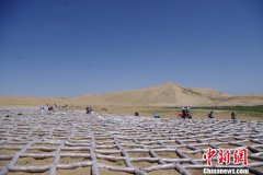 青海安排8.29亿元打造“天然林管护+生态扶贫”