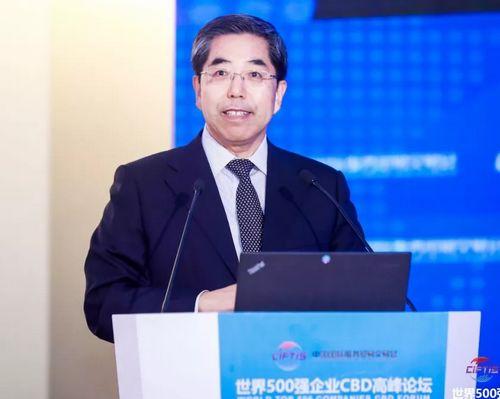 国务院发展研究中心党组书记马建堂在世界500强企业CBD高峰论坛发布主旨演讲。 国务院发展研究中心党组书记马建堂在世界500强企业CBD高峰论坛发布主旨演讲。
