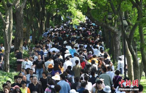 资料图。/p中新社记者 王刚 摄