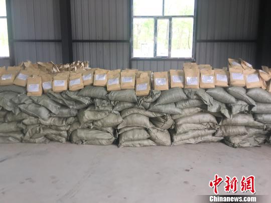 图为做成的全发酵生物有机肥。　王鸣远 摄