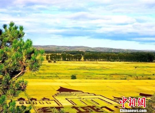 图为成熟后的稻田美景。兴安盟行政公署供图
