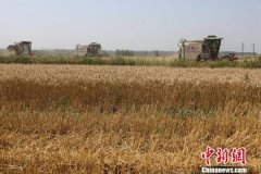 安徽200亿元“钱等粮” 夏粮收购禁“白条” 安徽200亿元“钱等粮” 夏粮收购禁“白条”