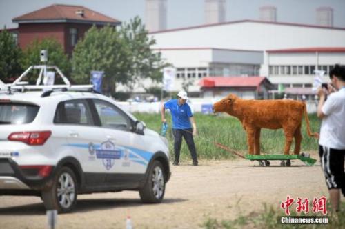 资料图：无人驾驶汽车。/p中新社记者 佟郁 摄