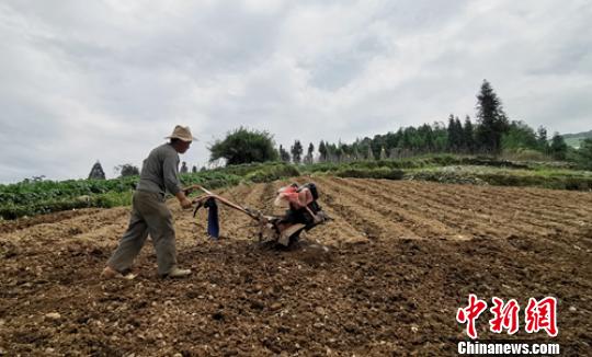 山坡上一位农户正在翻地准备栽种辣椒。　刘忠俊 摄