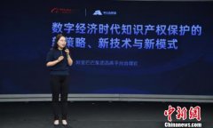 “2019电商知识产权峰会”在京举行 业界共商破解线上