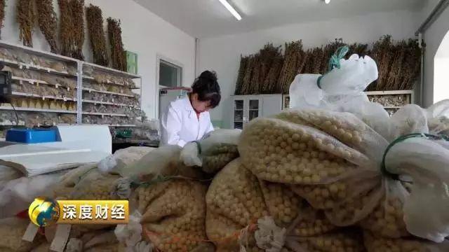 中国大豆，底气在哪里？