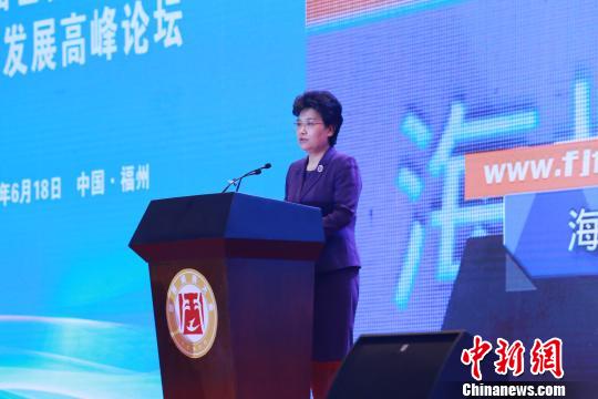 福建省委常委、统战部长邢善萍介绍闽商发展状况。　孟吴强 摄