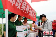 2019中宁枸杞鲜果开售 48小时内尝鲜