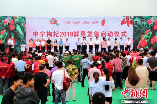 中宁枸杞2019鲜果发售启动仪式现场。　李佩珊 摄