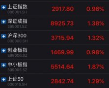 沪指涨0.96%重上2900点 芯片股上演涨停潮
