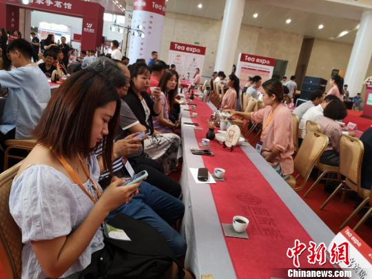 参会嘉宾现场品茶。　张道正 摄