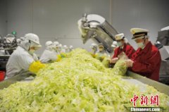 前五个月广东外贸实现正增长 对欧盟外贸同比增长